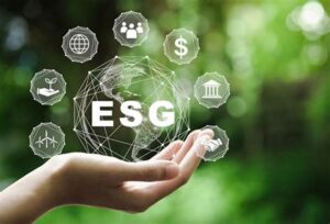 Bộ quy tắc ESG+ Domilk