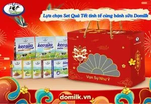 Lựa chọn Set Quà Tết tinh tế cùng bánh sữa Domilk