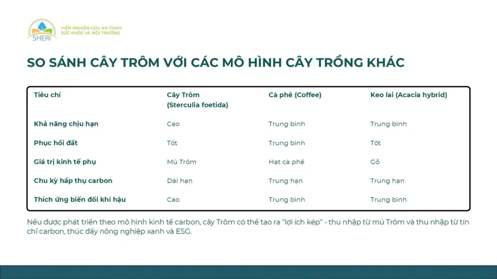 So sánh Cây trôm với các mô hình cây trồng khác (Chi. N.T.L. , 2026)