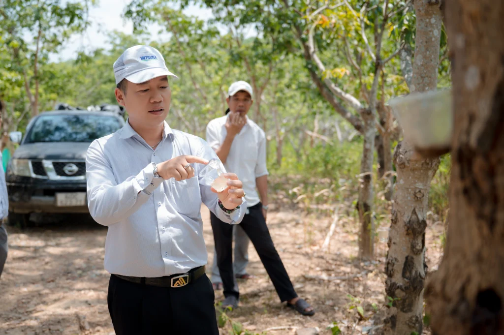 TS. Nguyễn Huỳnh Bạch Sơn Long kháo sát mủ trôm