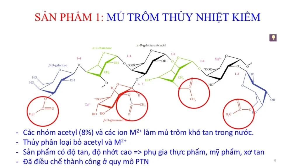 PGS. TS. Nguyễn Vinh Tiến đề xuất phương án thủy nhiệt kiềm mủ trôm để tăng hòa tan