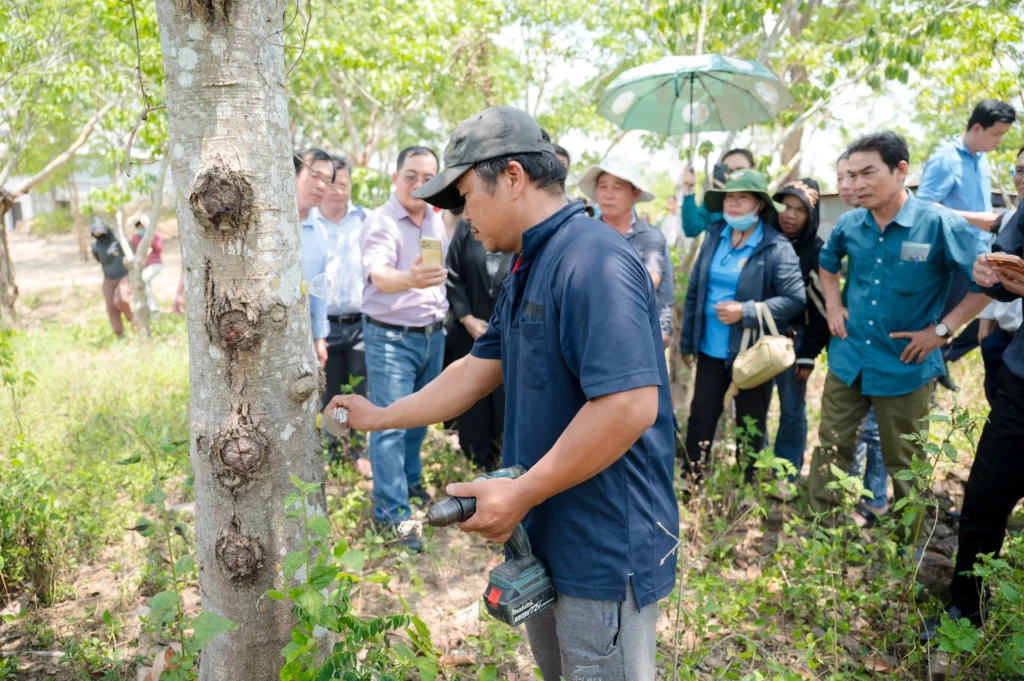 Đoàn đại biểu khảo sát thực tế khu vườn