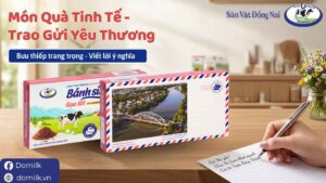 3 Qua tang du lich he tinh te cung Banh sua gao lut Domilk Mon an vat lanh manh cho moi nha
