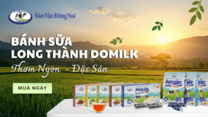 Combo Bánh Bò sữa Long Thành Domilk Premium